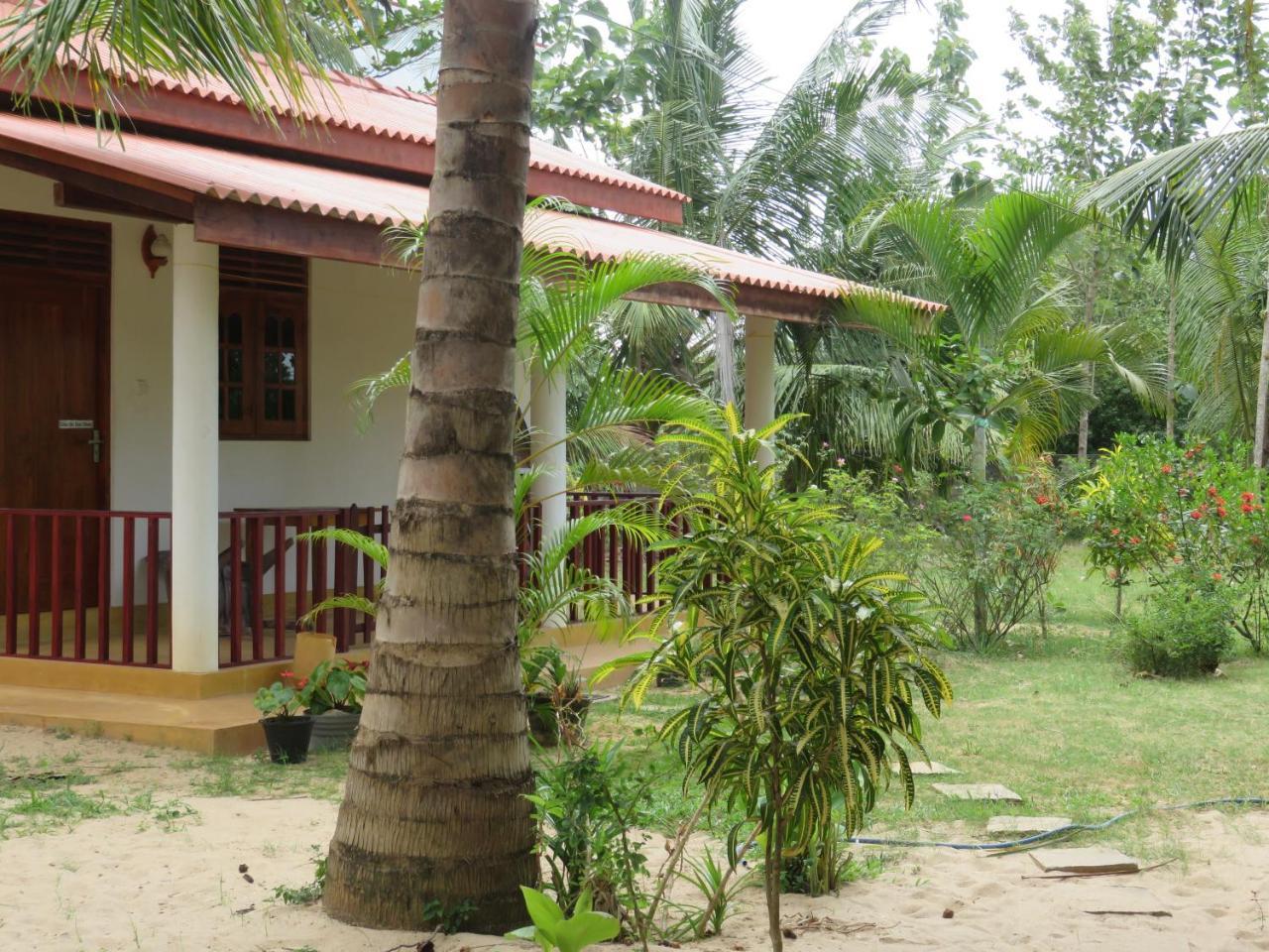 Beach Lagoon Guesthouse Tangalle Esterno foto