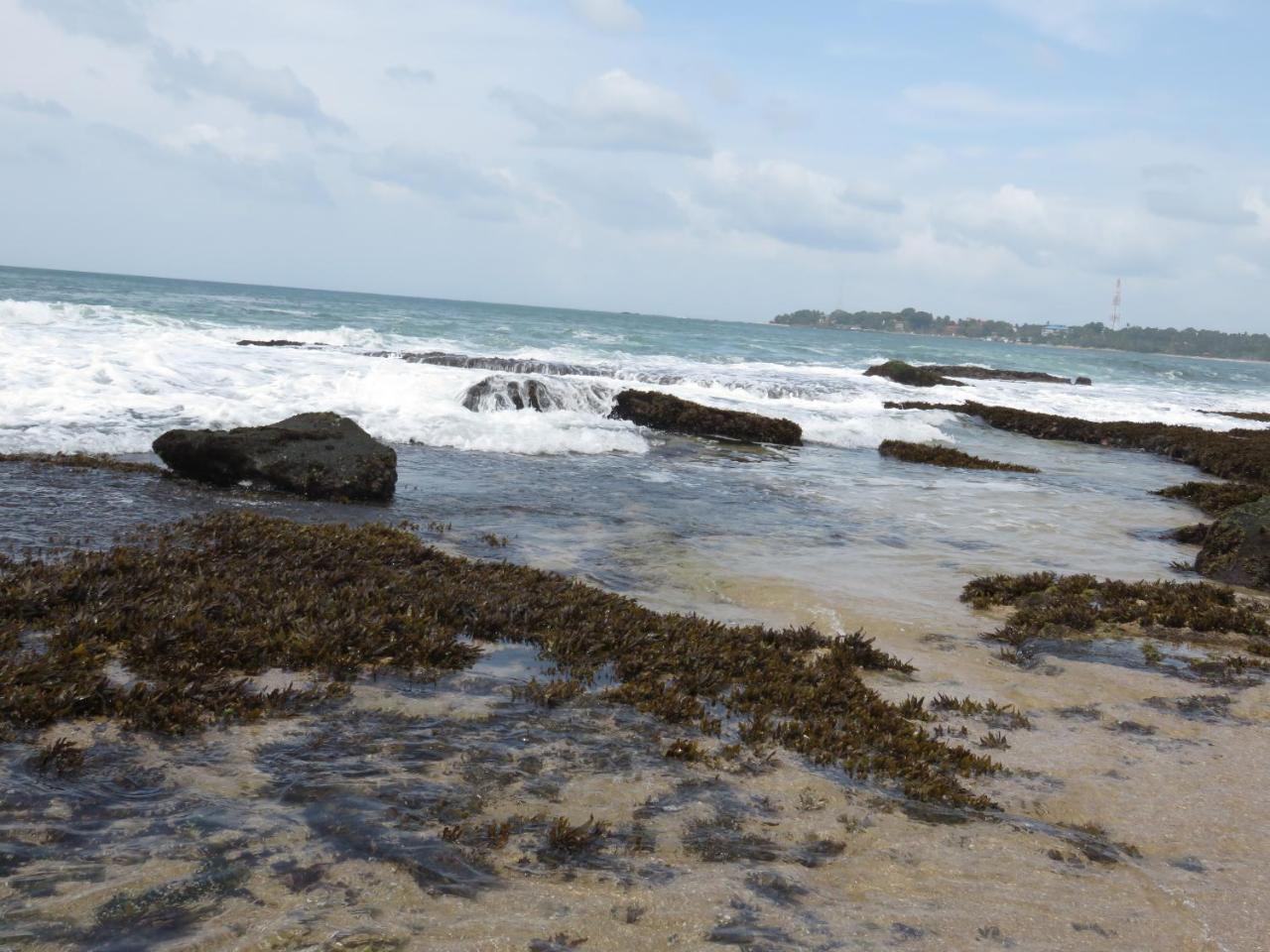 Beach Lagoon Guesthouse Tangalle Esterno foto