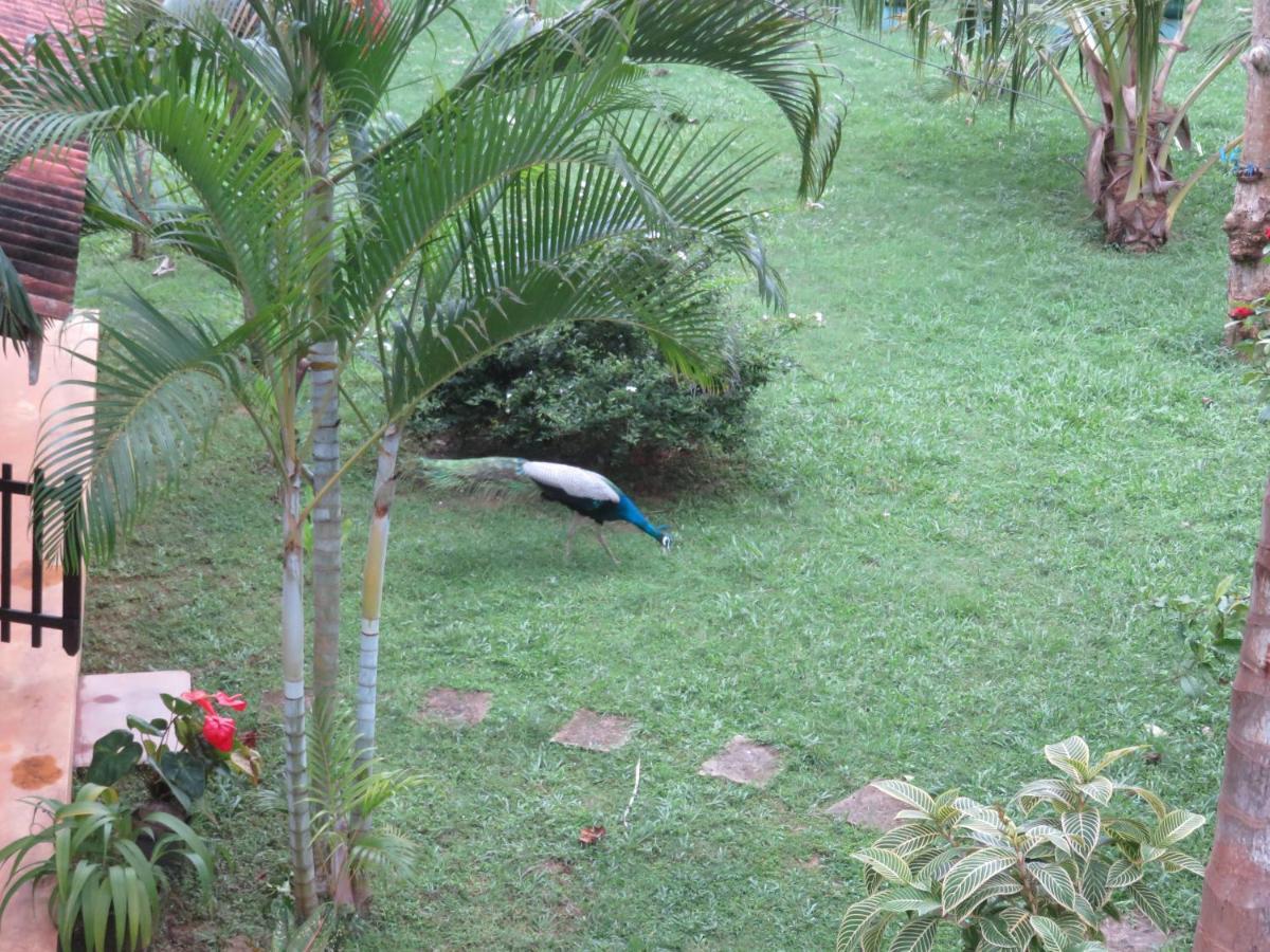 Beach Lagoon Guesthouse Tangalle Esterno foto
